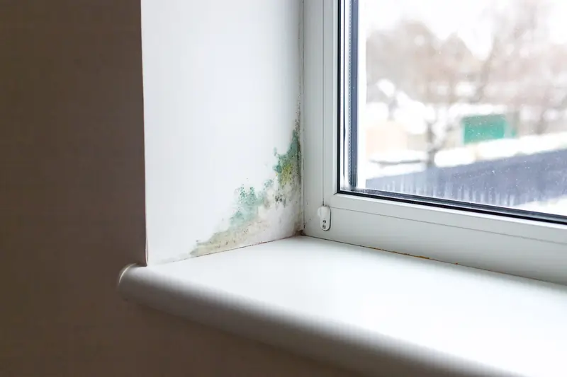 Schimmelbildung an einer Fensterlaibung durch eine Wärmebrücke, verursacht durch unzureichende Dämmung.